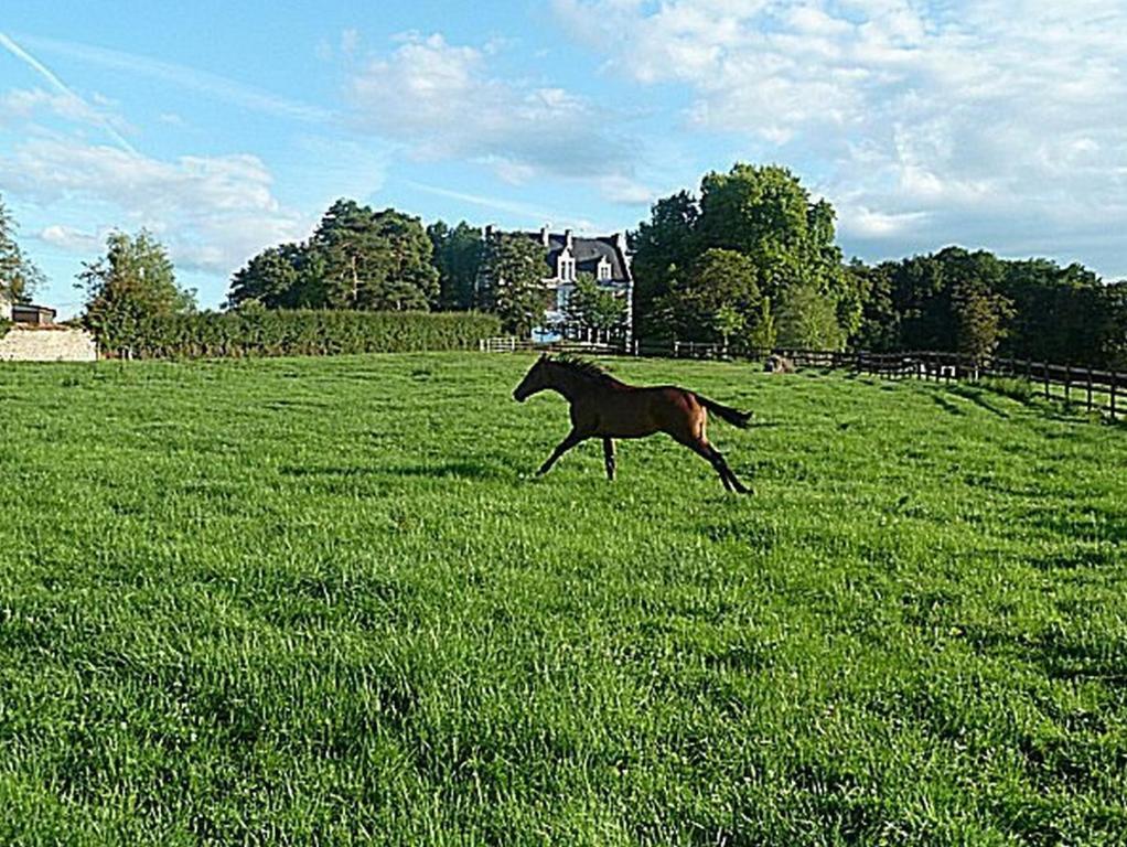 Chambres D'Hotes Du Haras De Coddes Cercy-la-Tour Zewnętrze zdjęcie