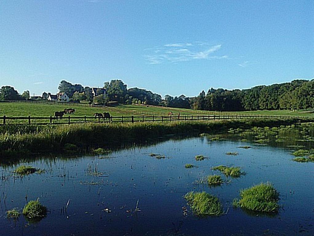 Chambres D'Hotes Du Haras De Coddes Cercy-la-Tour Zewnętrze zdjęcie